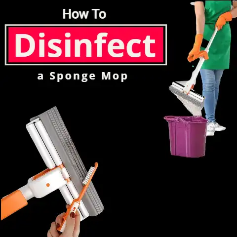How To Disinfect a Sponge Mop (From Bacteria & Germs)