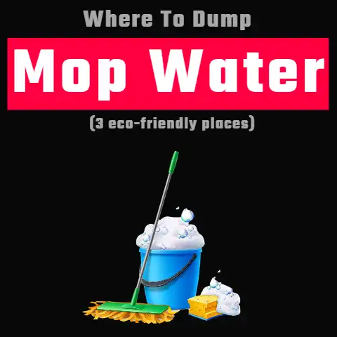Where To Dump Mop Water (3 eco-friendly places)