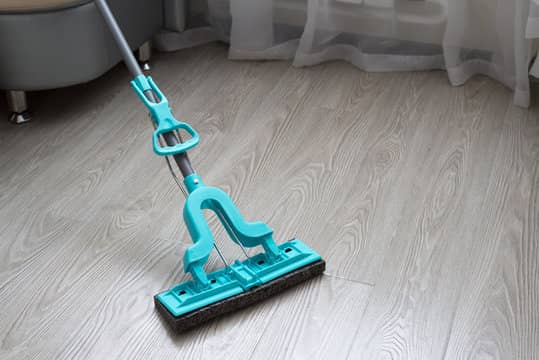 Sponge Mops