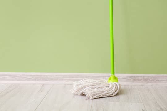 Wet Mops