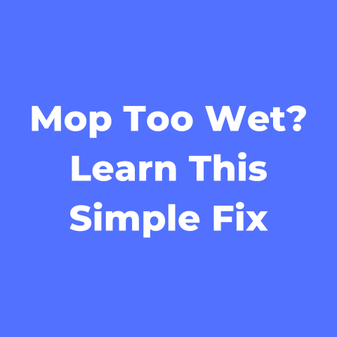 Mop Too Wet? Learn This Simple Fix