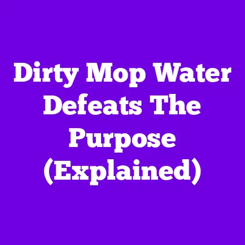 Dirty Mop Water Defeats The Purpose (Explained)