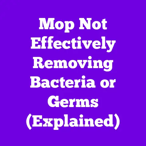 Mop Not Effectively Removing Bacteria or Germs (Explained)