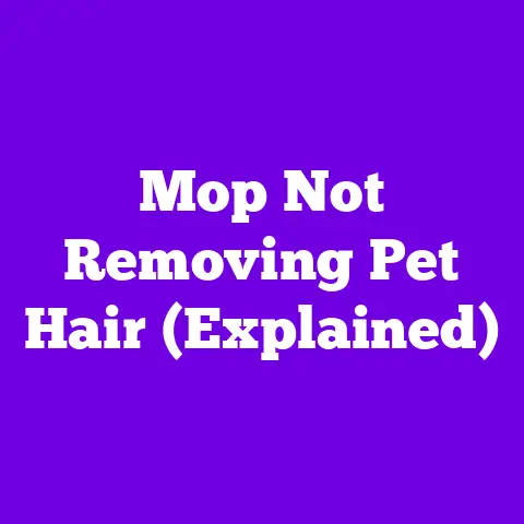 Mop Not Removing Pet Hair (Explained)