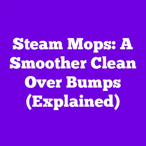 Steam Mops: A Smoother Clean Over Bumps (Explained)