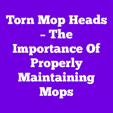 Torn Mop Heads – The Importance Of Properly Maintaining Mops