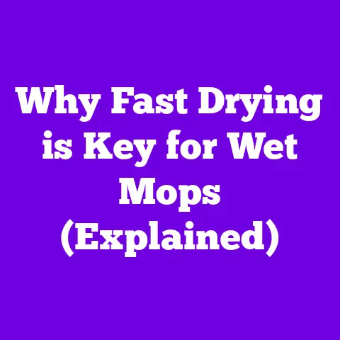 Why Fast Drying is Key for Wet Mops (Explained)