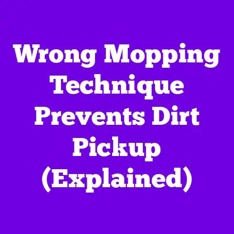 Wrong Mopping Technique Prevents Dirt Pickup (Explained)