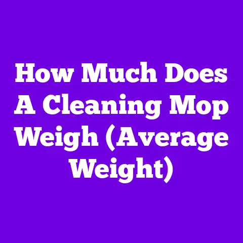 How Much Does A Cleaning Mop Weigh (Average Weight)