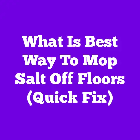 What Is Best Way To Mop Salt Off Floors (Quick Fix)