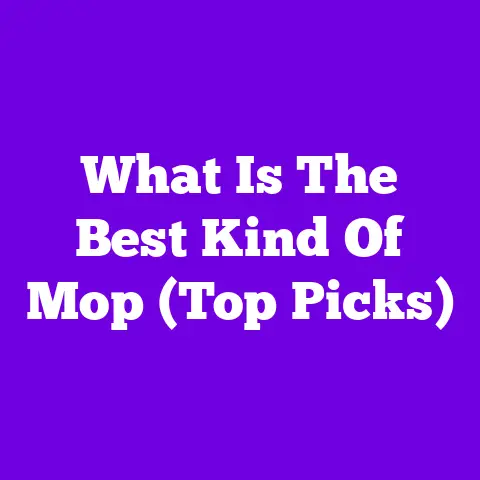 What Is The Best Kind Of Mop (Top Picks)