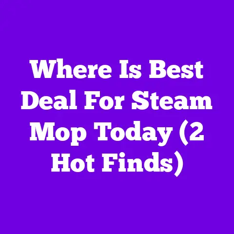 Where Is Best Deal For Steam Mop Today (2 Hot Finds)