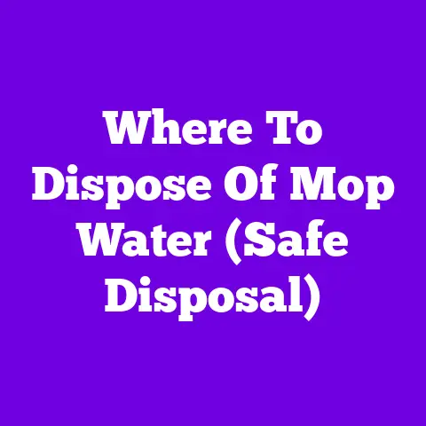 Where To Dispose Of Mop Water (Safe Disposal)